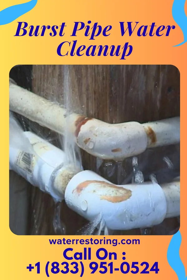 Burst Pipe Water Cleanup in South Barrington, IL
