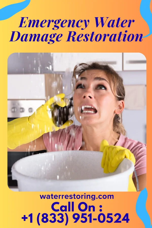 Emergency Water Damage Restoration in South Barrington, IL