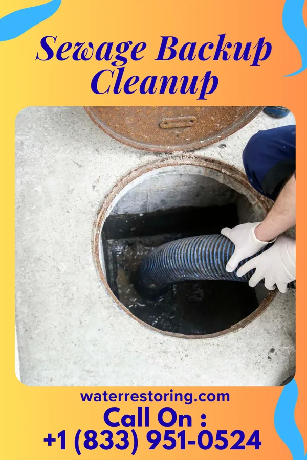 Sewage Backup Cleanup in South Barrington, IL