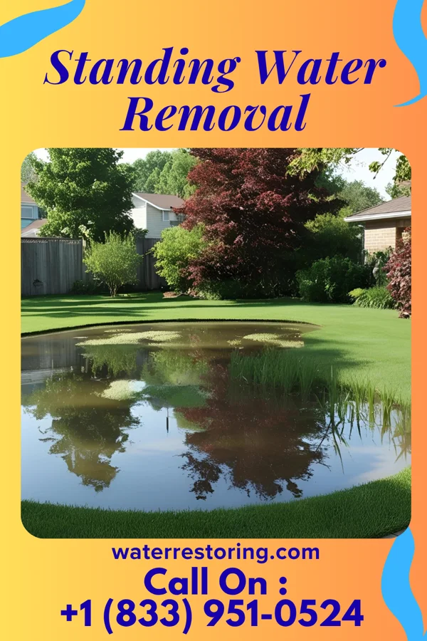 Standing Water Removal in South Barrington, IL